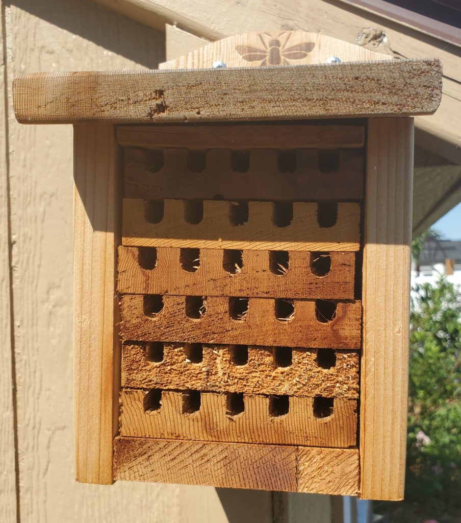 Mason bee house